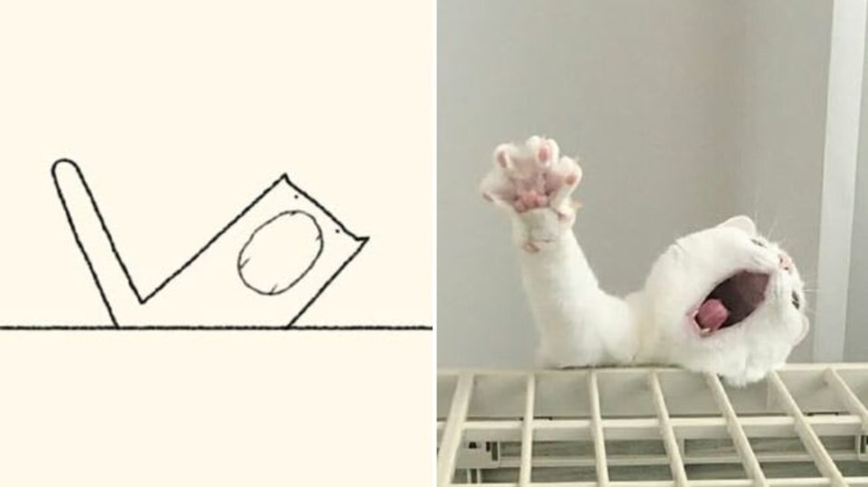 Minimalistické kresby koček